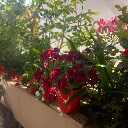 Apartments Gazi Ulcinj Exterior photo